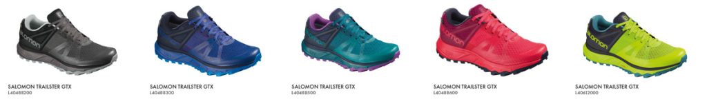 salomon-obzor-trailster-gtx