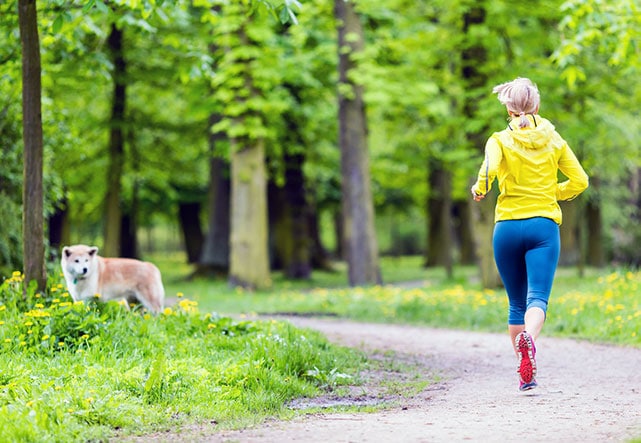 10 советов, как защититься от собак на пробежке