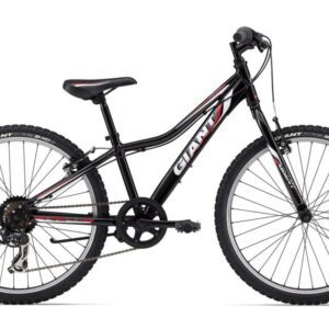 Велосипед Giant Revel Jr Lite 24 Boys