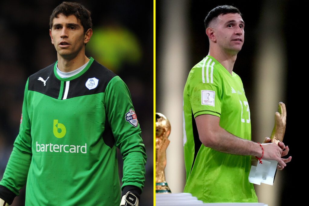 показанный