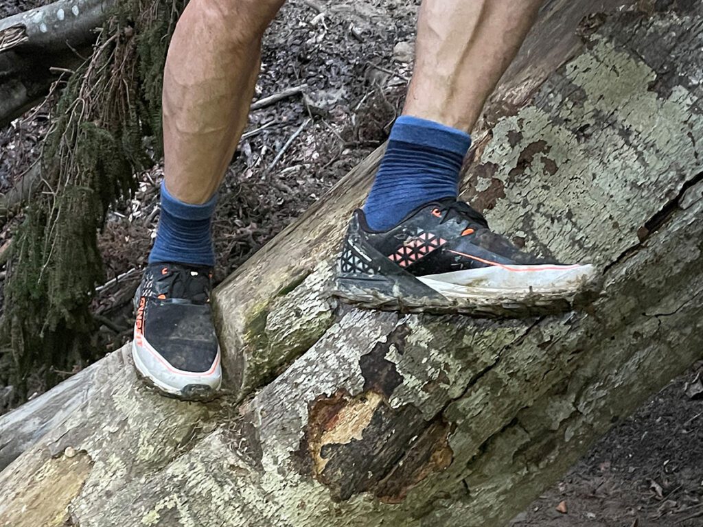 Dynafit Alpine DNA Trailrunningschuh