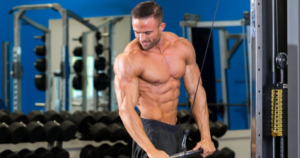 12 Week Fat Destroyer: Complete Fat Loss Workout & Diet Program